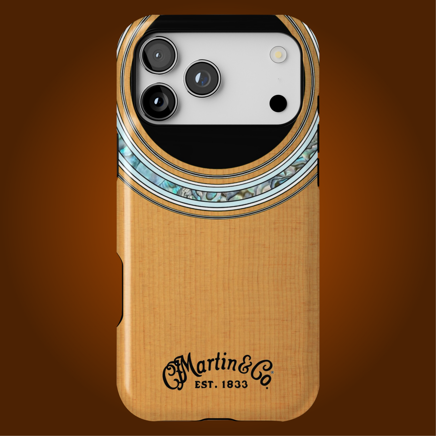 Guitar D45